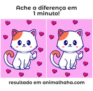imagem duplicada de dois gatinhos fofos para achar a diferença