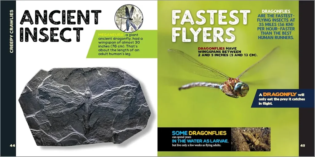 "Hours of Fun and Learning": Why the Book The Fascinating Animal Book for Kids: 500 Wild Facts! is a Hit 3 Page from the Book The Fascinating Animal Book for Kids: 500 Wild Facts