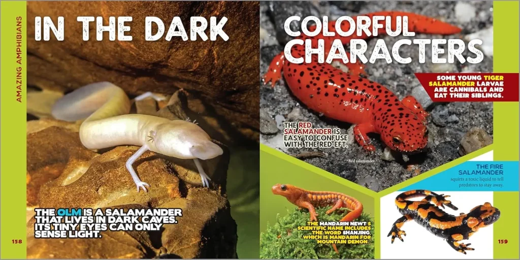 "Hours of Fun and Learning": Why the Book The Fascinating Animal Book for Kids: 500 Wild Facts! is a Hit 4 Page from the Book The Fascinating Animal Book for Kids: 500 Wild Facts