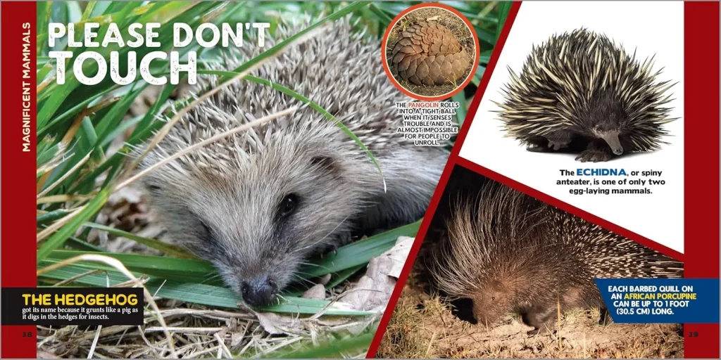 "Hours of Fun and Learning": Why the Book The Fascinating Animal Book for Kids: 500 Wild Facts! is a Hit 5 Page from the Book The Fascinating Animal Book for Kids: 500 Wild Facts