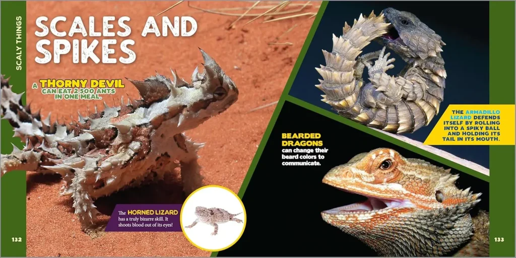 "Hours of Fun and Learning": Why the Book The Fascinating Animal Book for Kids: 500 Wild Facts! is a Hit 6 Page from the Book The Fascinating Animal Book for Kids: 500 Wild Facts