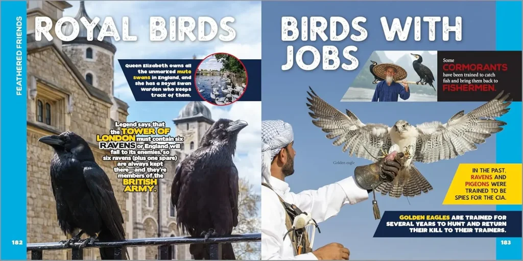 "Hours of Fun and Learning": Why the Book The Fascinating Animal Book for Kids: 500 Wild Facts! is a Hit 7 Page from the Book The Fascinating Animal Book for Kids: 500 Wild Facts